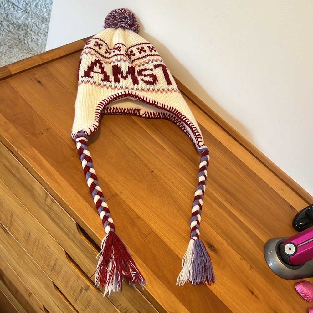 Robin Ruth -  knit cap “Amsterdam”.  Insulated with pigtails .